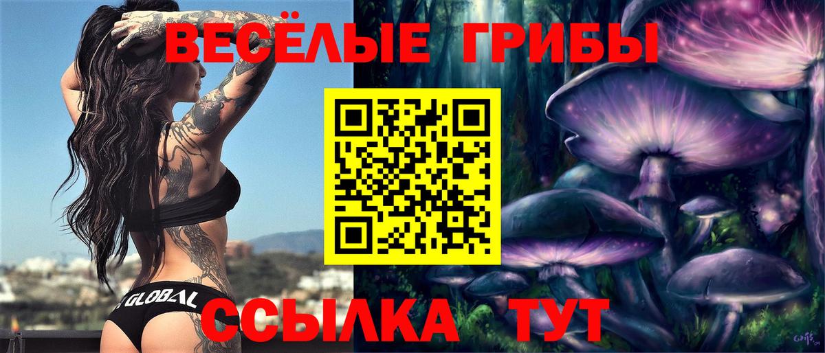 Карпинск  Галлюциногенные грибы ЛСД  Вход с VPN  Галлюциногенные грибы MAGIC MUSHROOMS 